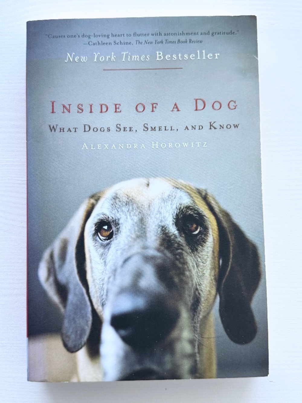 Inside of a Dog Alexandra Horowitz Paperback NYT Bestseller Dog Behavior Science